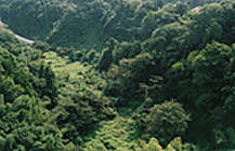 行程:現況